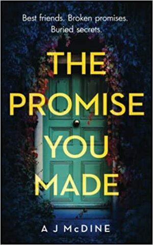 The Promise You Made by A.J. McDine
