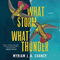 What Storm, What Thunder by Myriam J.A. Chancy