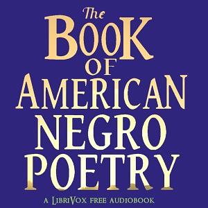 The Book of American Negro Poetry by James Weldon Johnson