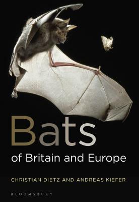 Bats of Britain and Europe by Christian Dietz, Andreas Kiefer