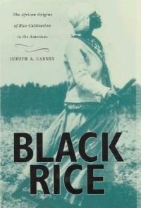 Black Rice: The African Origins of Rice Cultivation in the Americas, by Judith A. Carney