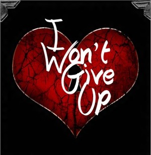 I Won't Give Up by Sophie Monroe