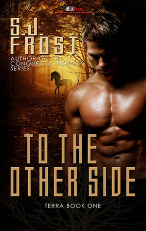 To the Other Side by S.J. Frost