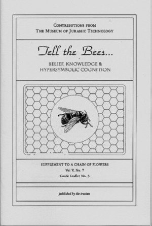 Tell the Bees... Belief, Knowledge & Hypersymbolic Cognition (Supplement to a Chain of Flowers Vol. V, No. 7, Guide Leaflet No. 3) by Sarah Simons