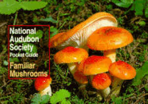 National Audubon Society Pocket Guide to Familiar Mushrooms by National Audubon Society
