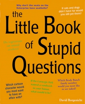 The Little Book of Stupid Questions: 300 Hilarious, Bold, Embarassing, Personal and Basically Pointless Queries by David Borgenicht