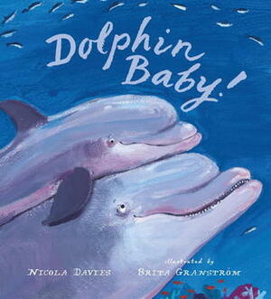 Dolphin Baby! by Nicola Davies