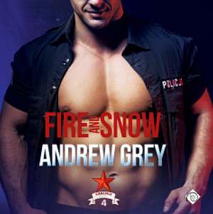 Fire and Snow by Andrew Grey