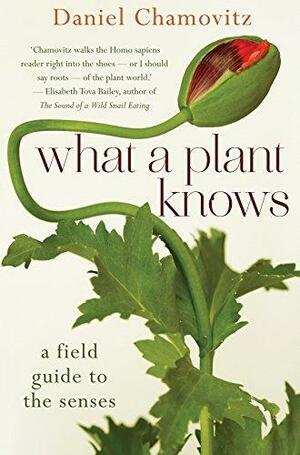 What a Plant Knows: a field guide to the senses by Daniel Chamovitz, Daniel Chamovitz