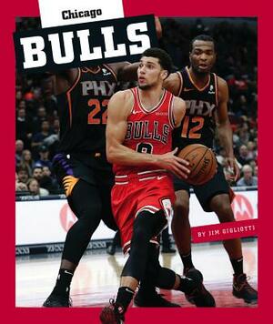 Chicago Bulls by Jim Gigliotti