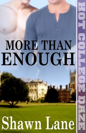 More Than Enough by Shawn Lane