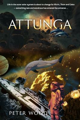 Attunga by Peter Wood