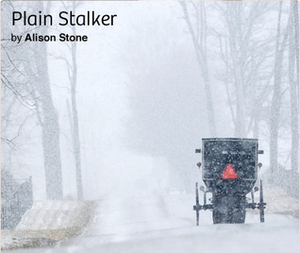 Plain Stalker by Alison Stone