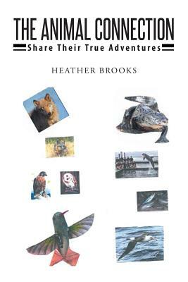 Animal Connection: Share Their True Adventures by Heather Brooks