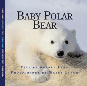 Baby Polar Bear by Aubrey Lang