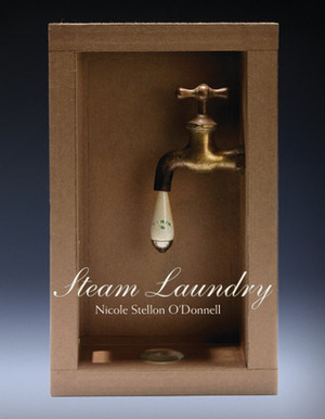 Steam Laundry by Nicole Stellon O'Donnell