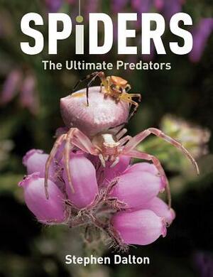 Spiders: The Ultimate Predators by Stephen Dalton