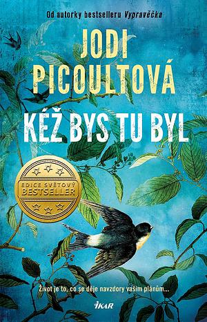 Kéž bys tu byl by Jodi Picoult