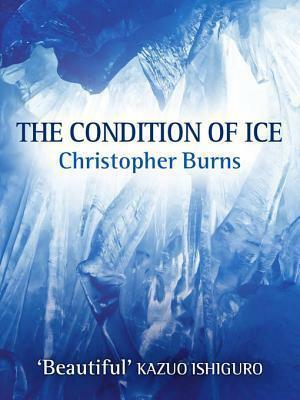 The Condition of Ice by Christopher Burns