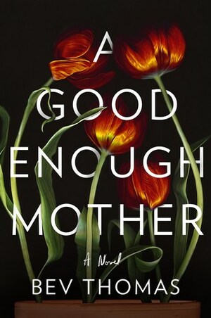 A Good Enough Mother by Bev Thomas