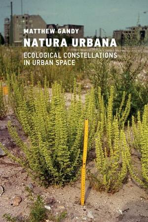 Natura Urbana: Ecological Constellations in Urban Space by Matthew Gandy
