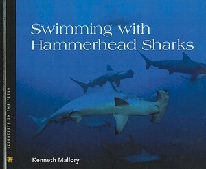 Swimming with Hammerhead Sharks by Kenneth Mallory