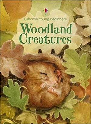 Woodland Creatures by Emily Bone