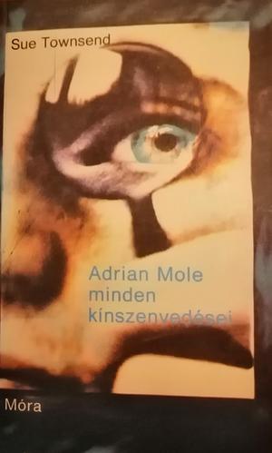 Adrian Mole minden kínszenvedései  by Sue Townsend