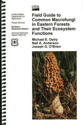 Field Guide to Common Macrofungi in Eastern Forests and Their Ecosystem Functions by Neil A. Anderson, Michael E. Ostry, Joseph G. O'Brien