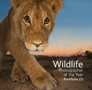 Wildlife Photographer of the Year: Portfolio 23 by 