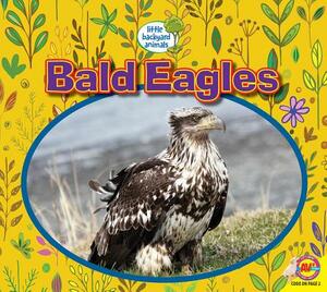 Bald Eagles by Heather Kissock