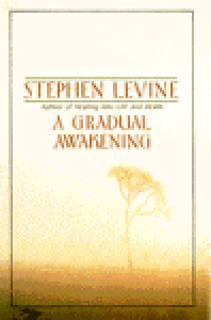 A Gradual Awakening by Ram Dass, Stephen Levine