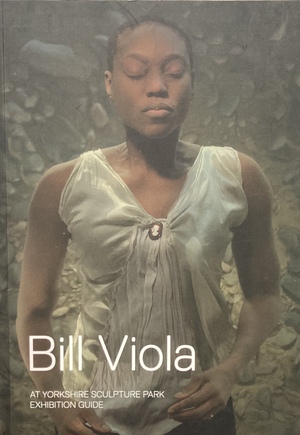 Bill Viola: At Yorkshire Sculpture Park by Bill Viola, Kira Perov
