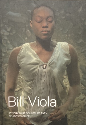 Bill Viola: At Yorkshire Sculpture Park by Kira Perov, Bill Viola