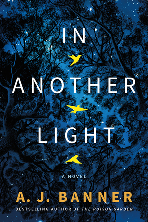 In Another Light by A.J. Banner