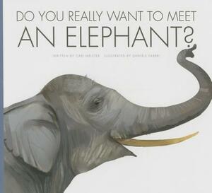 Do You Really Want to Meet an Elephant? by Cari Meister