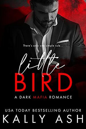 Little Bird: A Dark Mafia Romance by Kally Ash