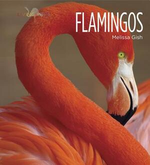 Living Wild: Flamingos by Melissa Gish