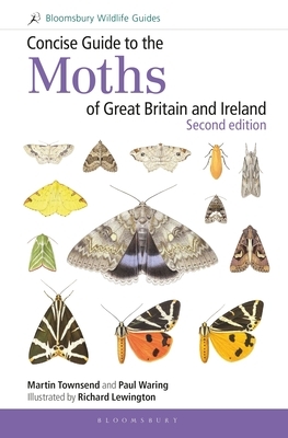 Concise Guide to the Moths of Great Britain and Ireland: Second Edition by Paul Waring, Martin Townsend