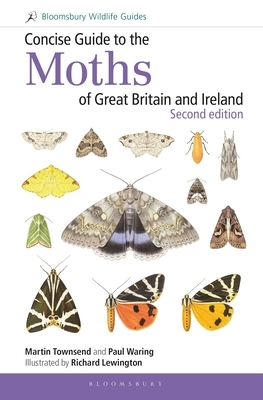 Concise Guide to the Moths of Great Britain and Ireland: Second Edition by Martin Townsend, Paul Waring