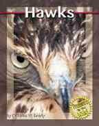 Hawks by Kathleen W. Deady