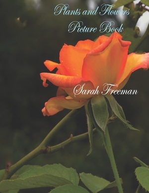 Plants and Flowers Picture Book by Sarah Freeman