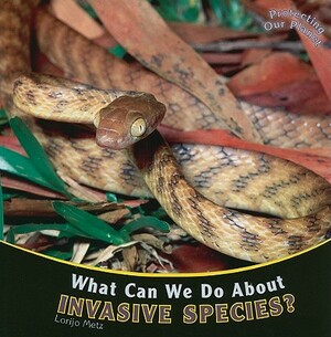 What Can We Do about Invasive Species? by Lorijo Metz