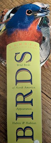 Birds: Birds of North America. Appearance, Habits & Habitat.  by Michael W. Robbins