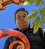 jimbuzbee's profile picture