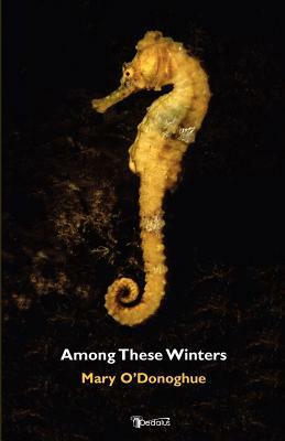 Among These Winters by Mary O'Donoghue