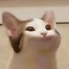 sandrew___'s profile picture