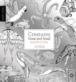 Field Guide: Creatures Great and Small: 35 Prints to Color by Valerie Davies, Lucy Engelman