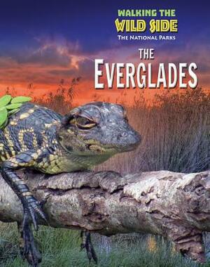 The Everglades by Tamra B. Orr