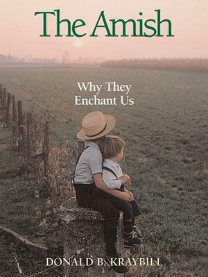The Amish: Why They Enchant Us by Donald B. Kraybill